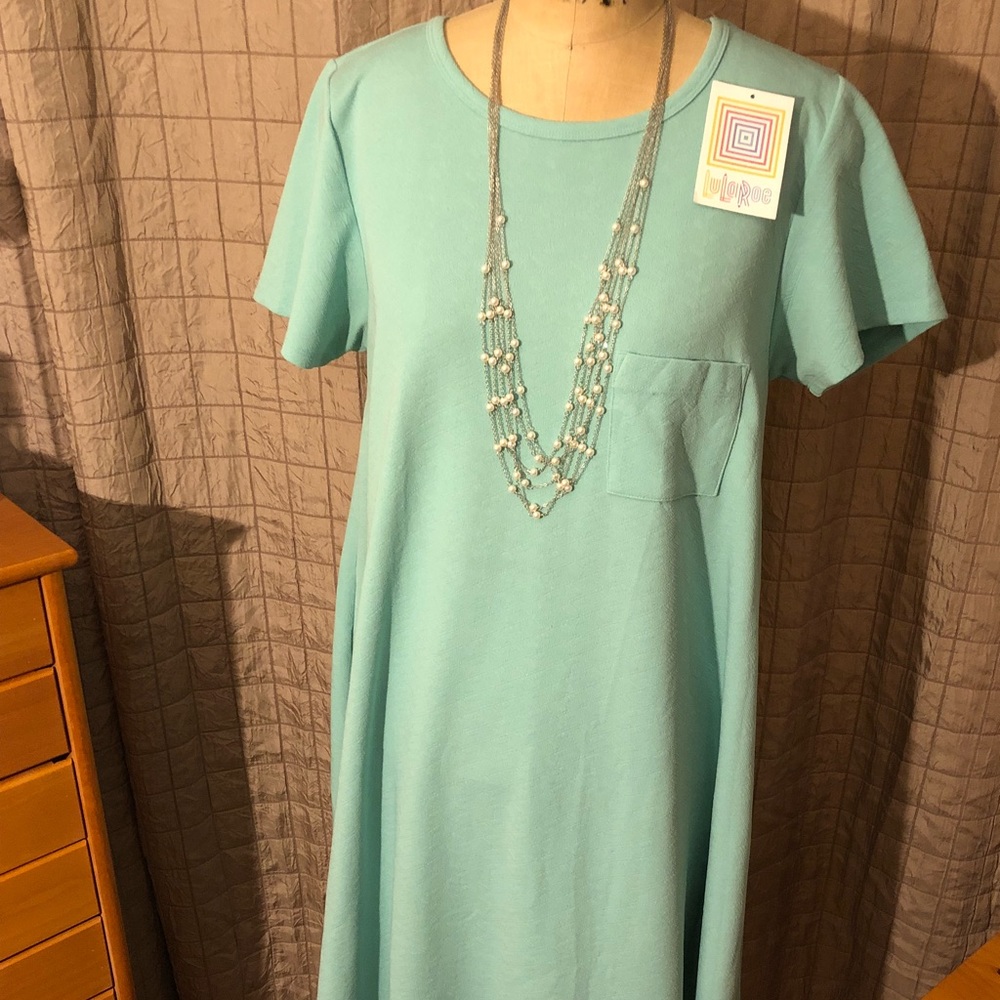 LuLaRoe Carly dress